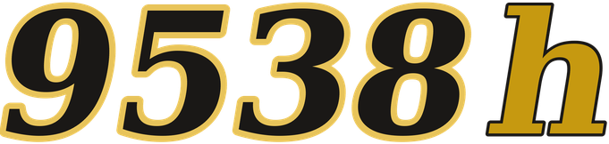 9538h logo
